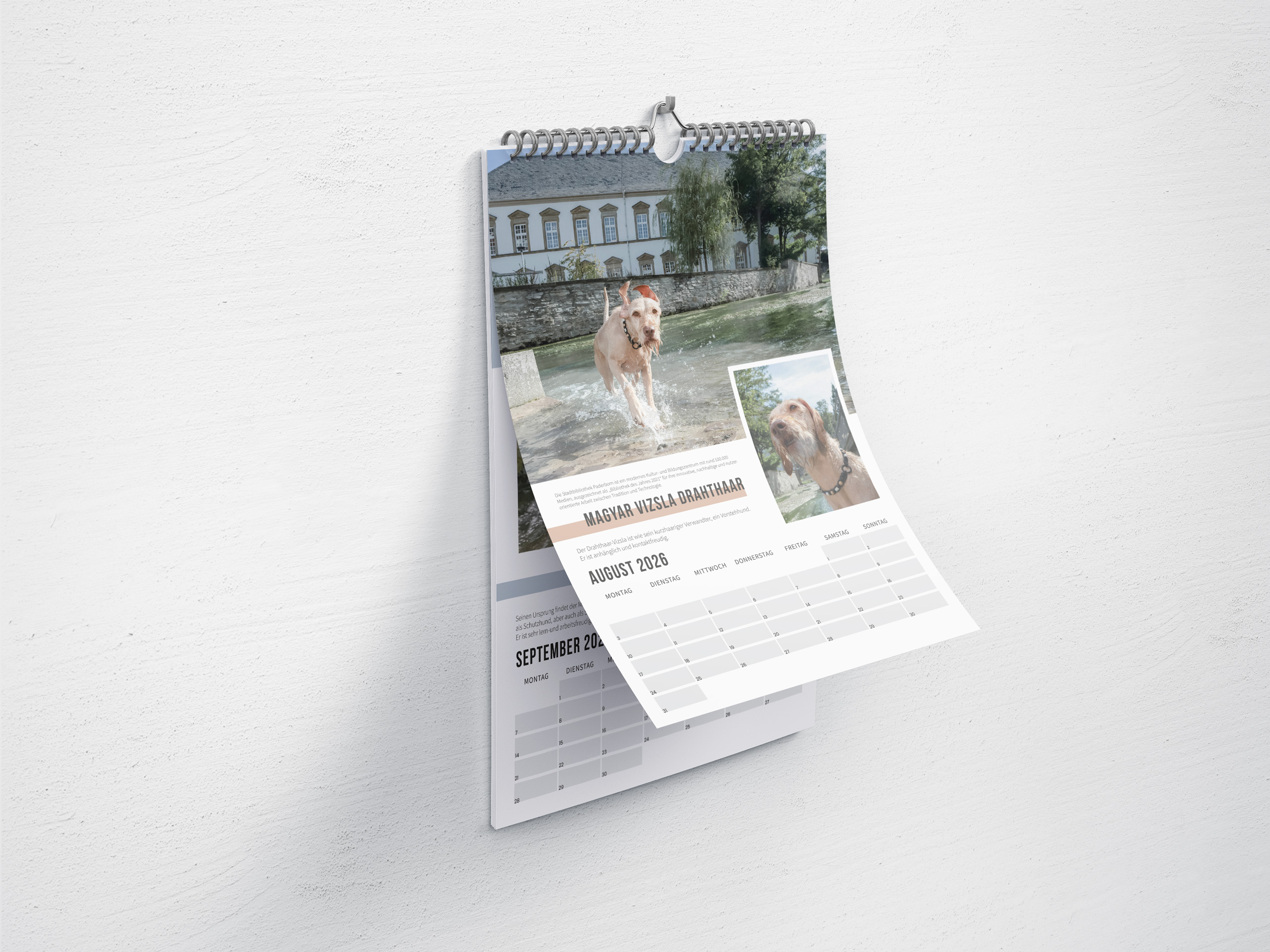 mockups-design.com