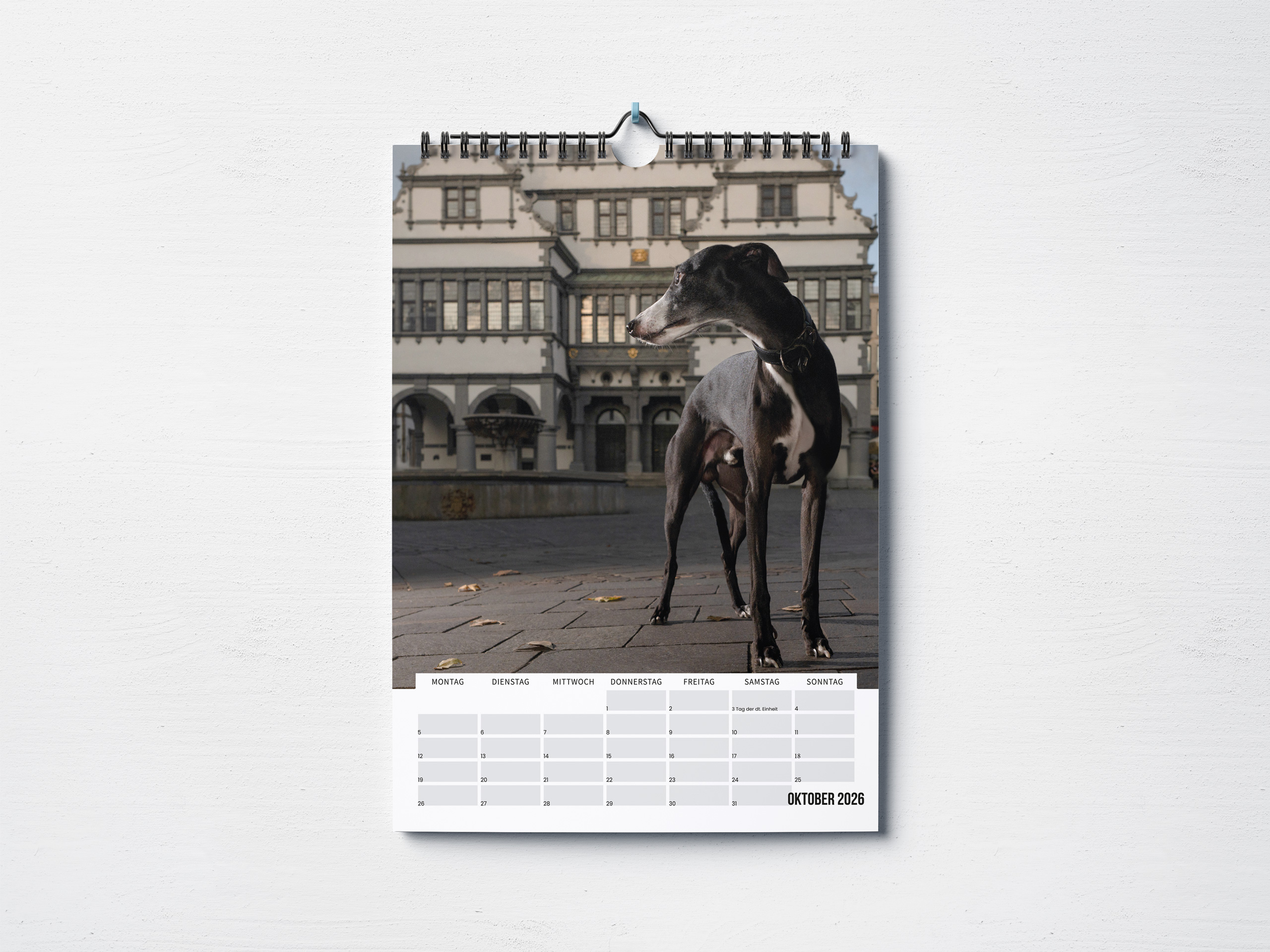 Paderborner-Hundekalender_02_2026